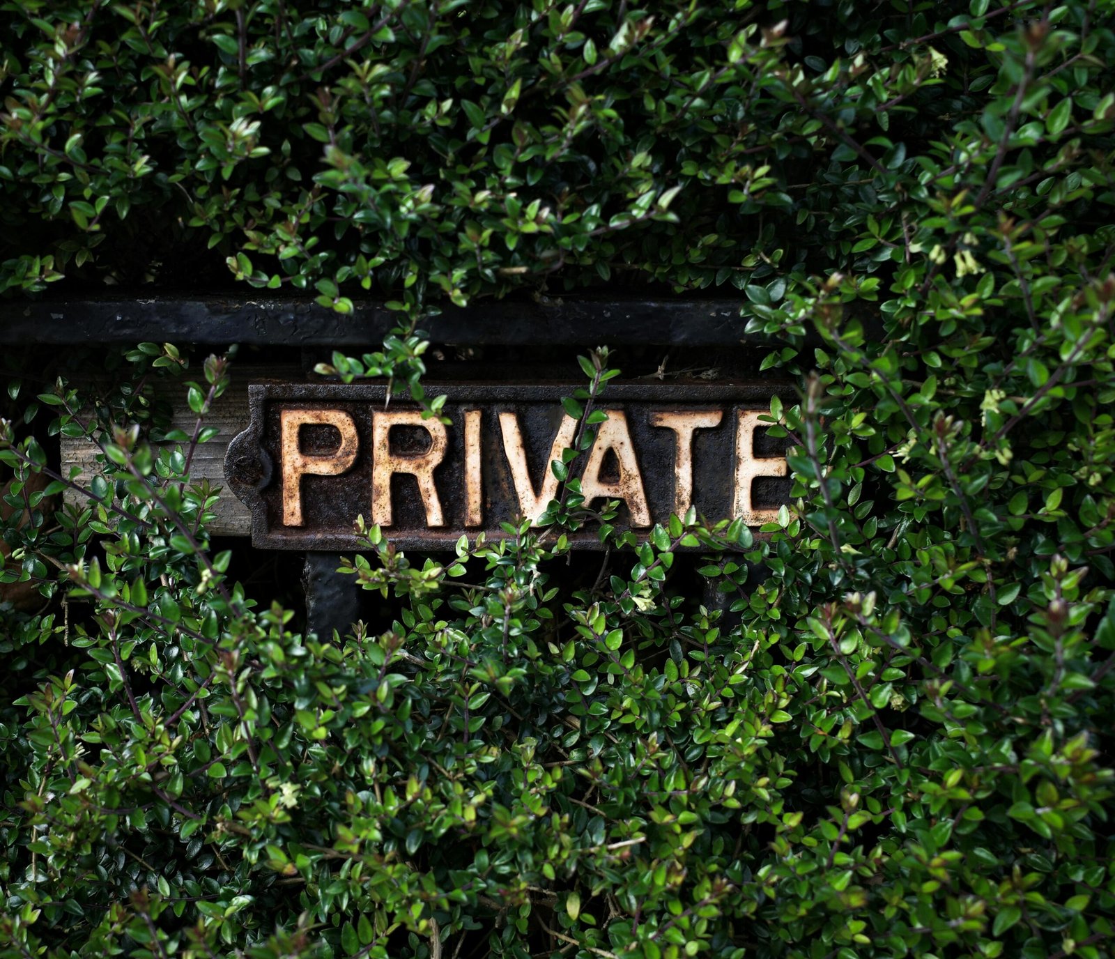 pexels ellie burgin 1661546 32142601